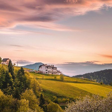 Bed and Breakfast Blizej Nieba Skrzydlna Екстер'єр фото