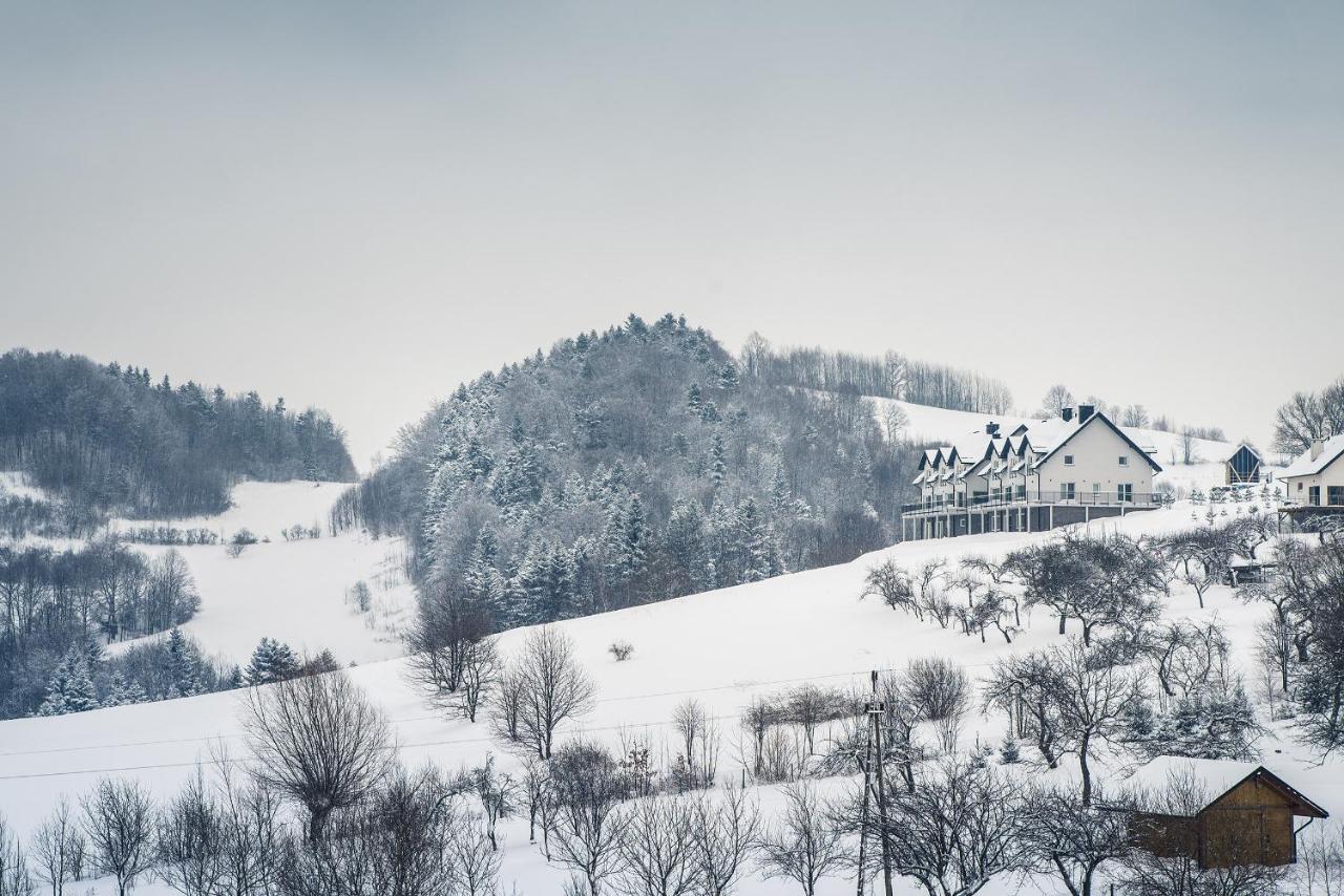 Bed and Breakfast Blizej Nieba Skrzydlna Екстер'єр фото