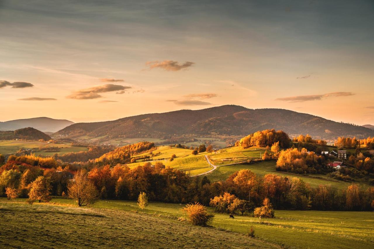 Bed and Breakfast Blizej Nieba Skrzydlna Екстер'єр фото