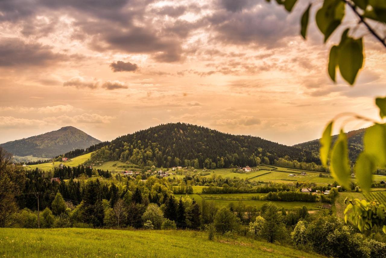 Bed and Breakfast Blizej Nieba Skrzydlna Екстер'єр фото