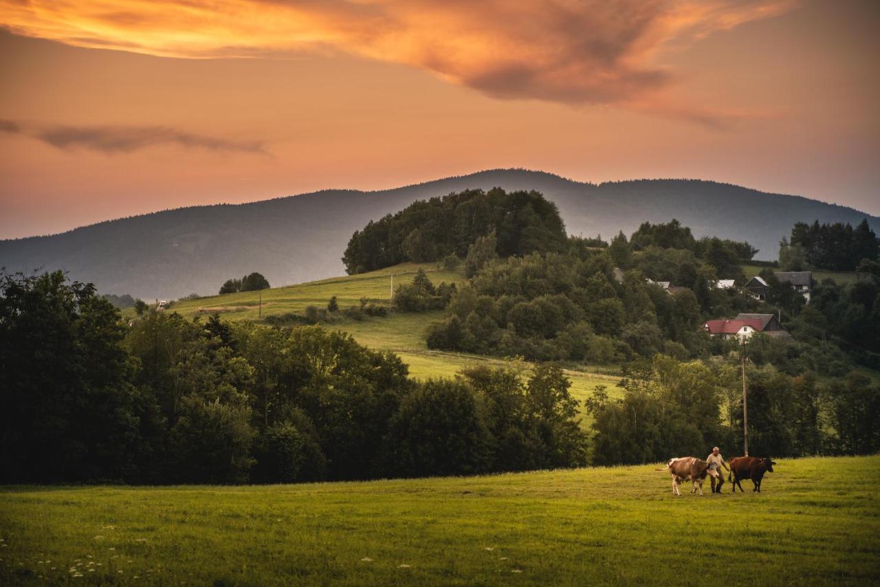 Bed and Breakfast Blizej Nieba Skrzydlna Екстер'єр фото